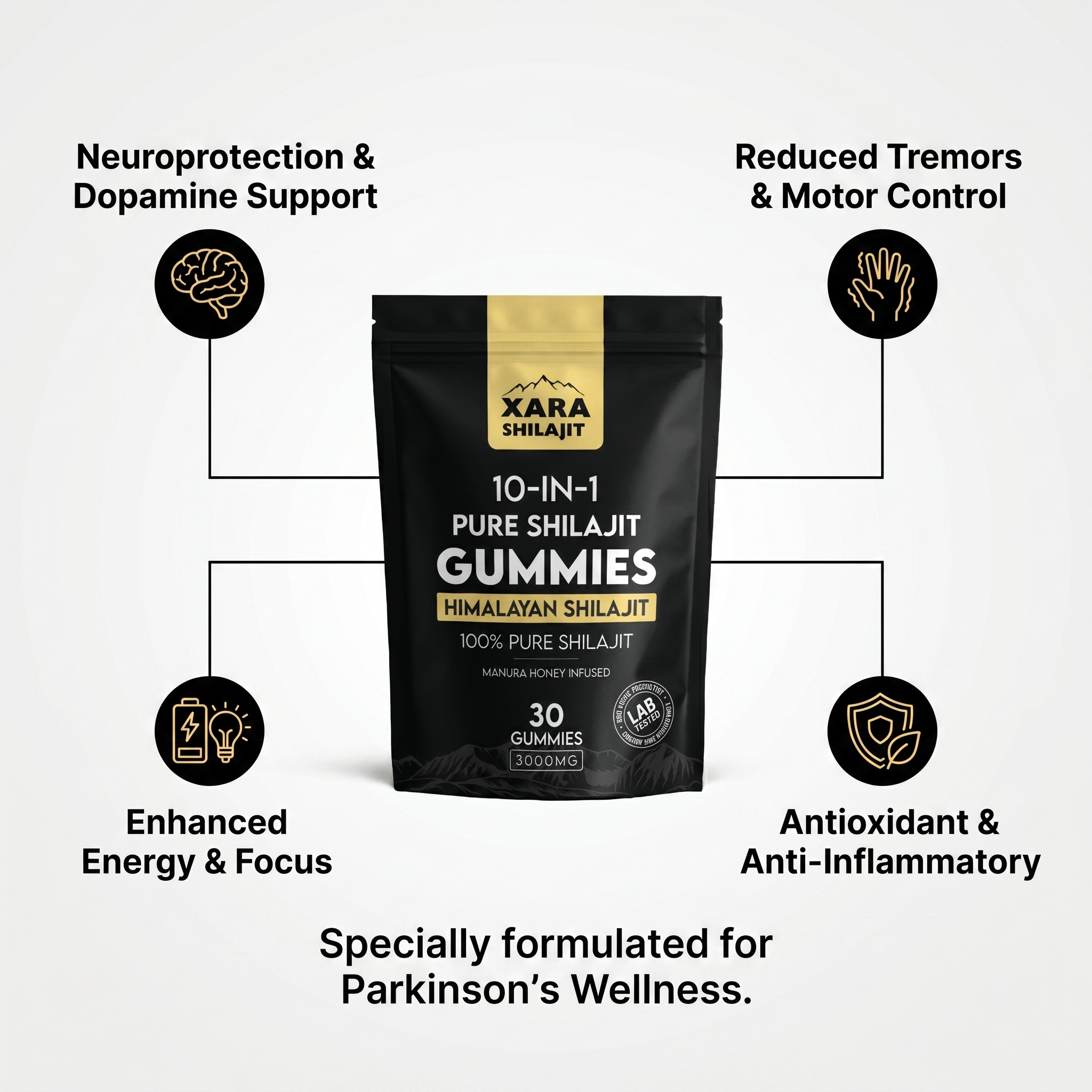 Glytze Pure Shilajit wellness formula