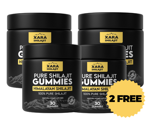 Glytze Pure Shilajit Gummies 3 MONTH SUPPLY