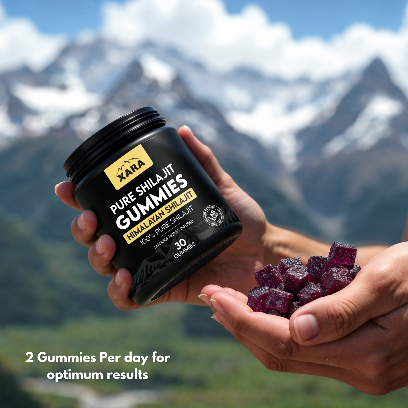 Glytze Pure Shilajit Gummies