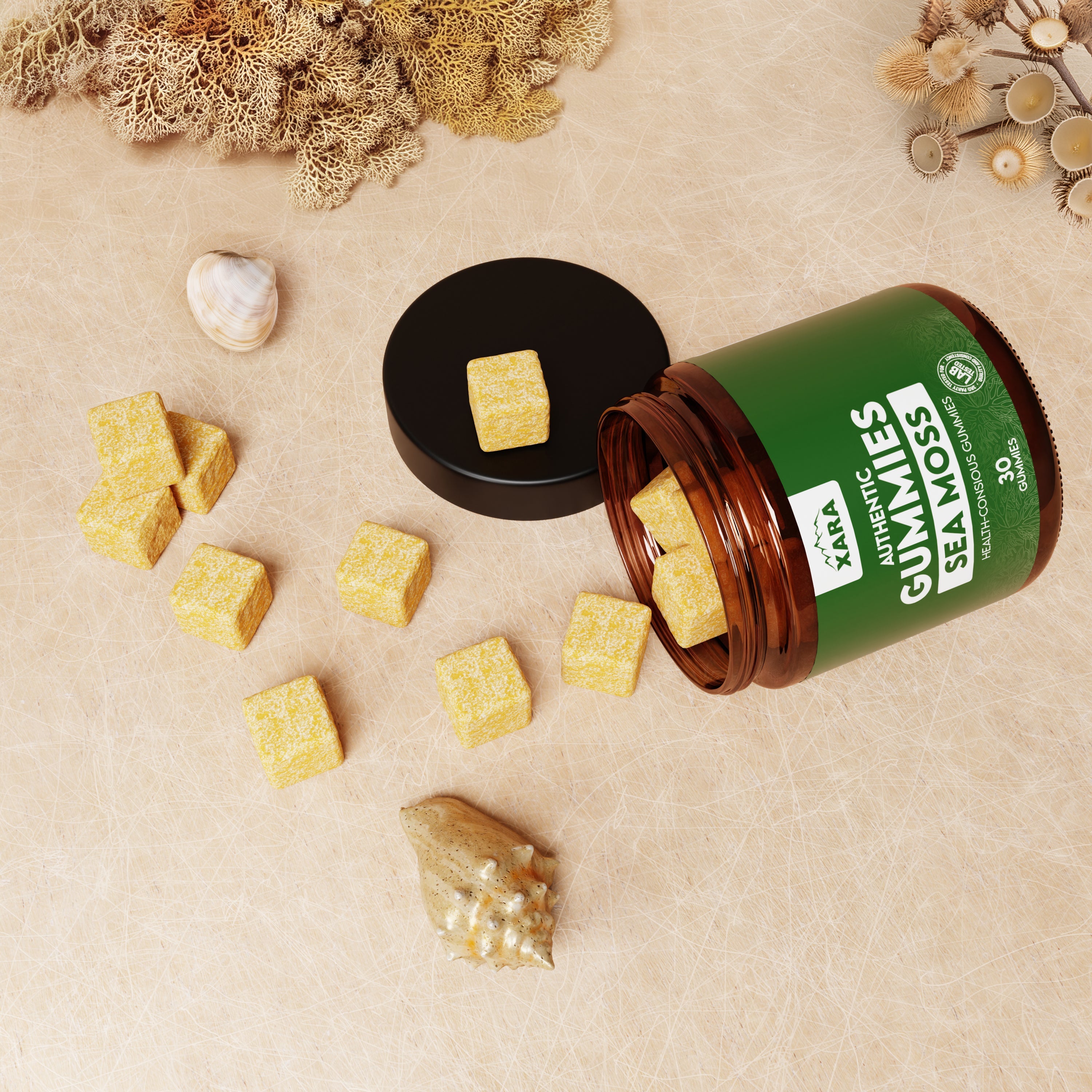 Glytze Irish Sea Moss