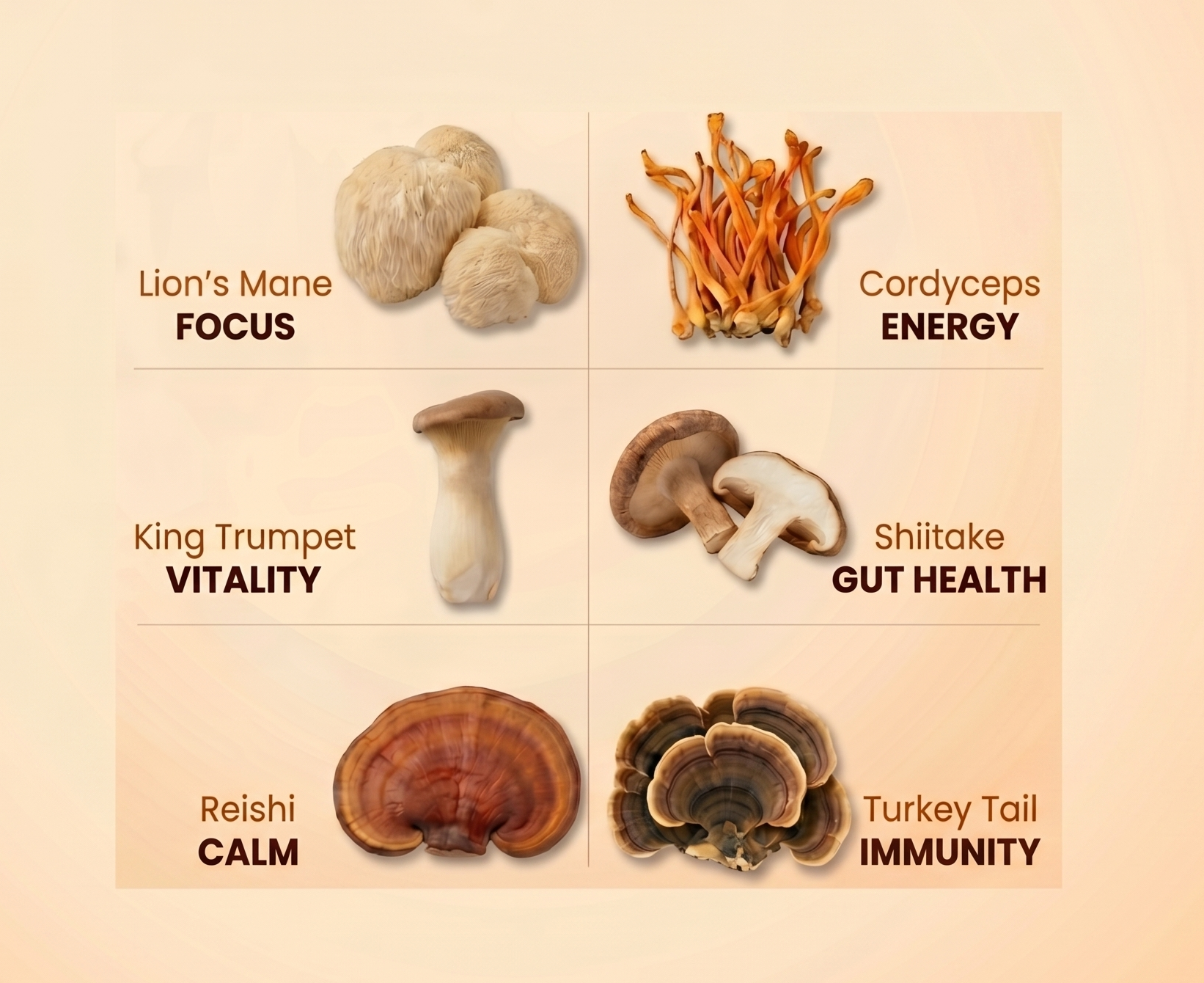 Six functional mushrooms, each with a job: Lion's Mane for focus, Cordyceps for energy, King Trumpet for vitality, Shiitake for gut health, Reishi for calm, and Turkey Tail for immunity.